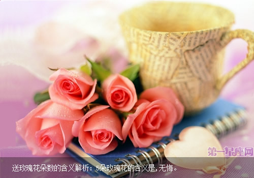 送玫瑰花朵数的含义解析
